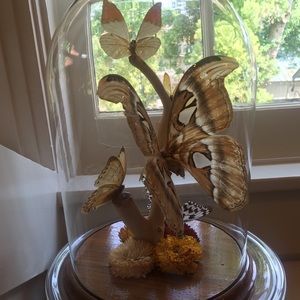 Meet your Posher, Ashlyn